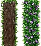 Guía Definitiva: Comparativa de los Mejores Jardines Verticales Baratos para Transformar tu Espacio