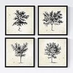 Reviviendo la Historia: Análisis de Muebles Vintage en Fotos Antiguas de Terrassa