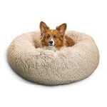 Las Mejores Camas para Perros Originales: Análisis y Comparativa de Estilos y Funcionalidad